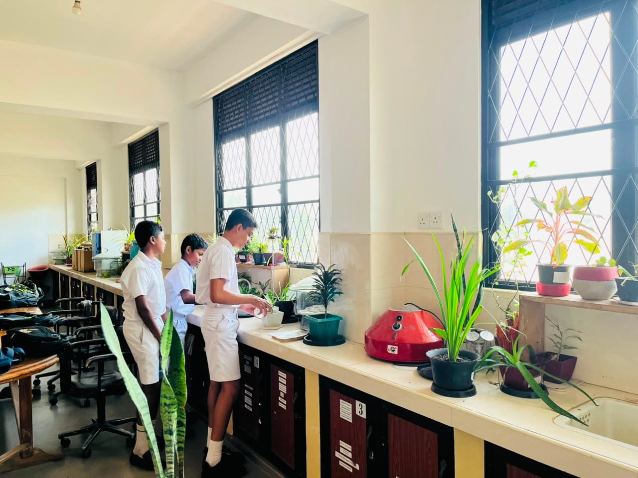 Agriculture Laboratories